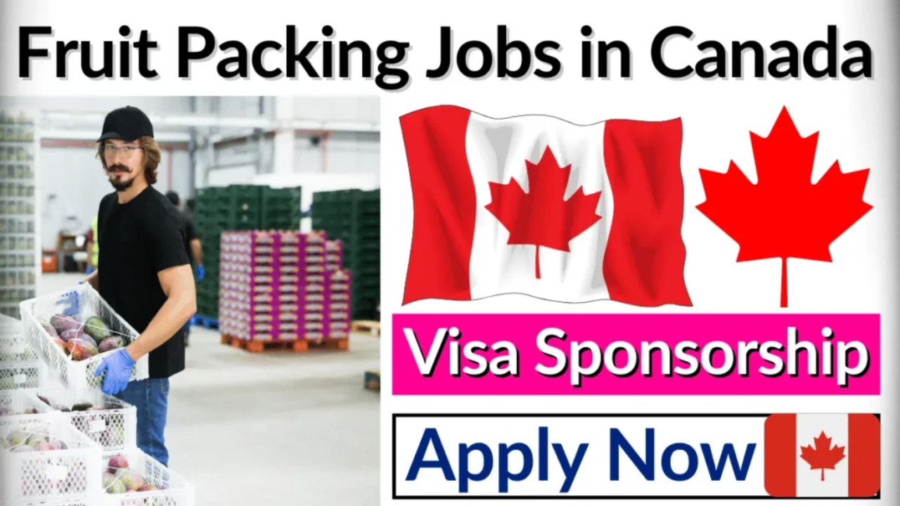 Food Packing Jobs in Canada With Visa Sponsorship